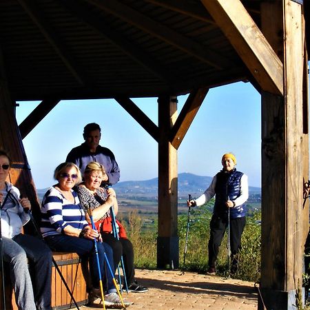 Tokaj Hill Panorama Guesthouse เซเรนช์ ภายนอก รูปภาพ