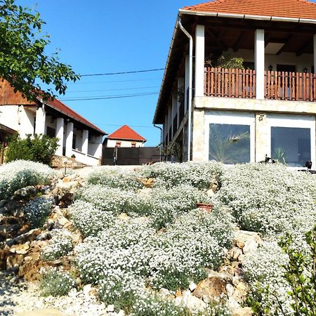 Tokaj Hill Panorama Guesthouse เซเรนช์ ภายนอก รูปภาพ
