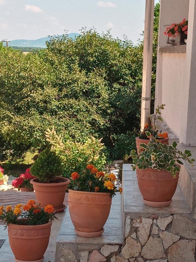 Tokaj Hill Panorama Guesthouse เซเรนช์ ภายนอก รูปภาพ