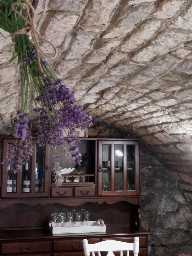 Tokaj Hill Panorama Guesthouse เซเรนช์ ภายนอก รูปภาพ