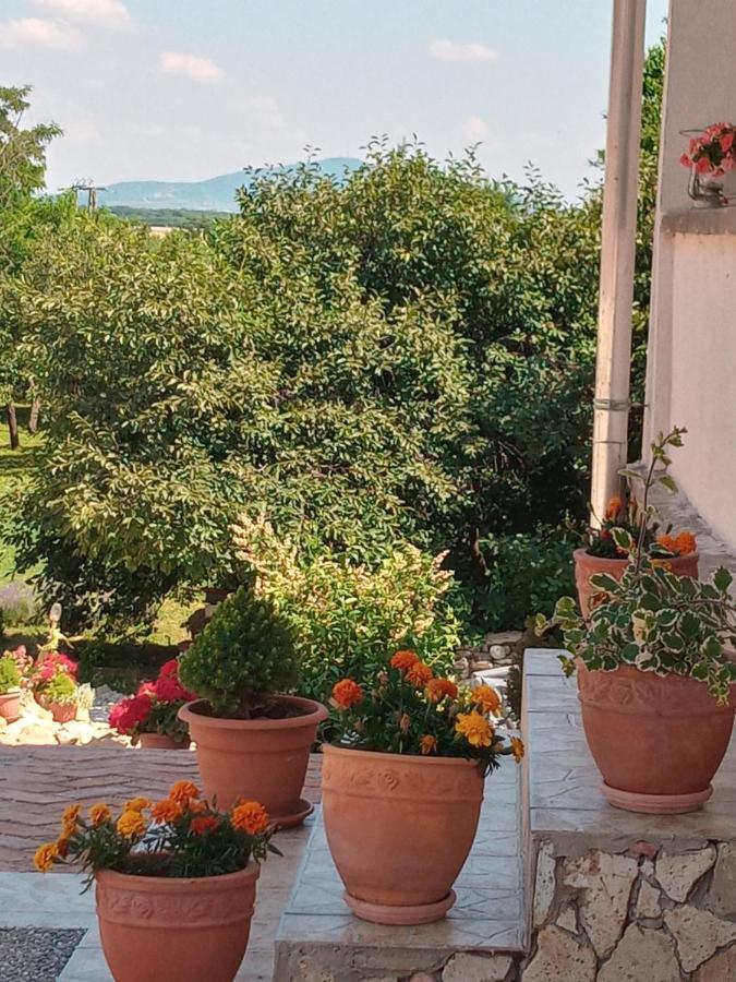 Tokaj Hill Panorama Guesthouse เซเรนช์ ภายนอก รูปภาพ