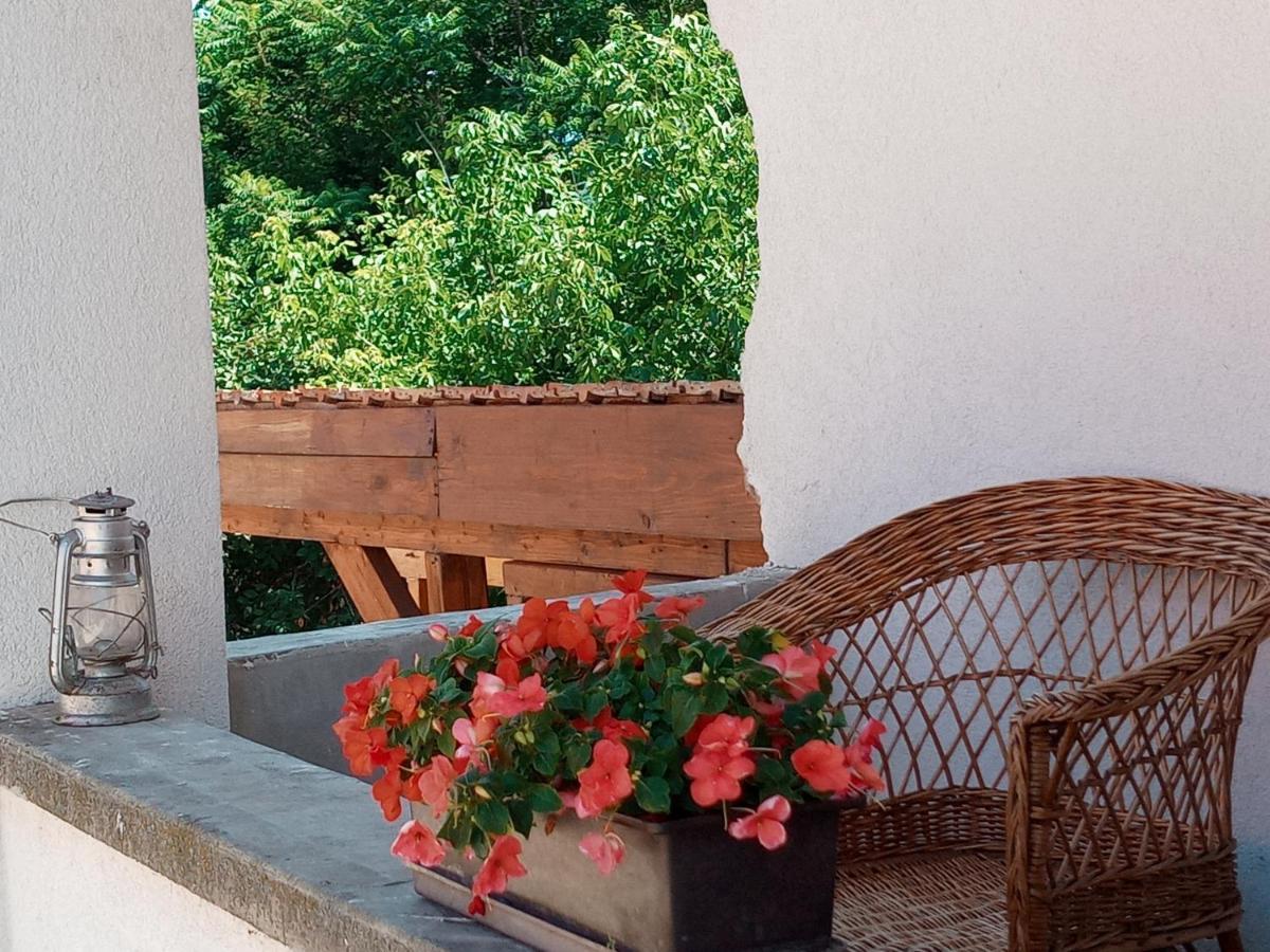 Tokaj Hill Panorama Guesthouse เซเรนช์ ภายนอก รูปภาพ