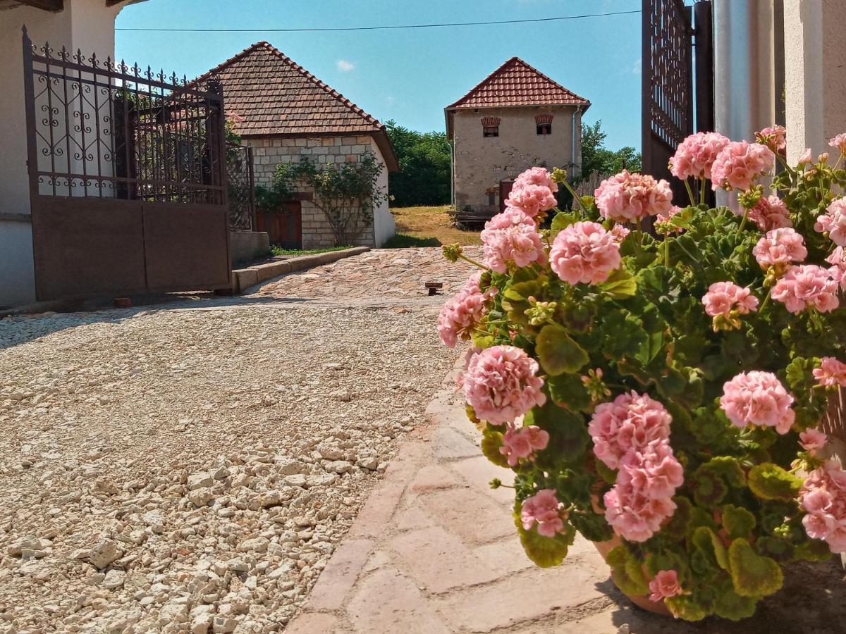 Tokaj Hill Panorama Guesthouse เซเรนช์ ภายนอก รูปภาพ