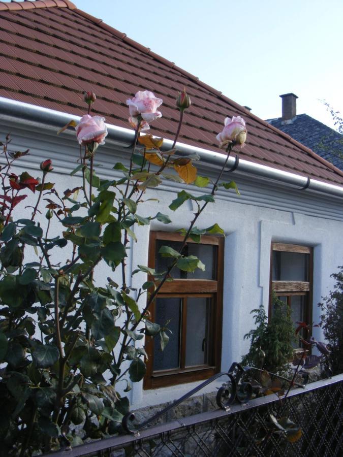 Tokaj Hill Panorama Guesthouse เซเรนช์ ภายนอก รูปภาพ