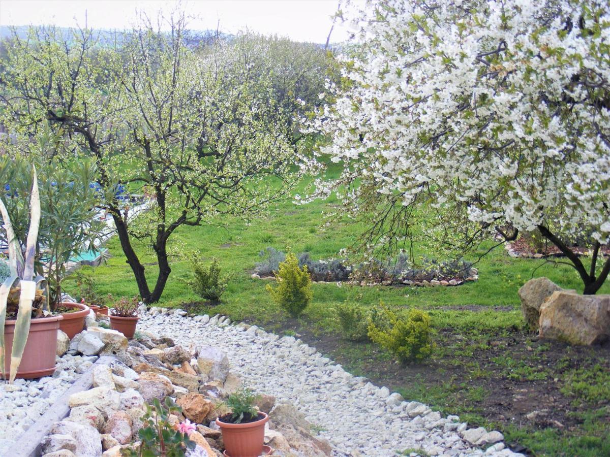 Tokaj Hill Panorama Guesthouse เซเรนช์ ภายนอก รูปภาพ