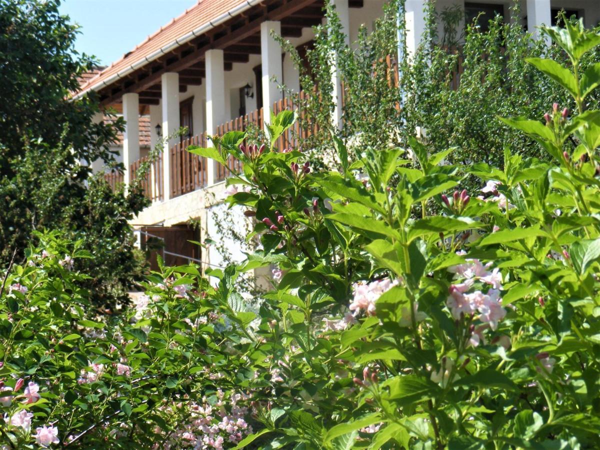 Tokaj Hill Panorama Guesthouse เซเรนช์ ภายนอก รูปภาพ