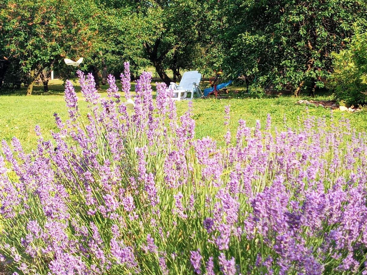Tokaj Hill Panorama Guesthouse เซเรนช์ ภายนอก รูปภาพ