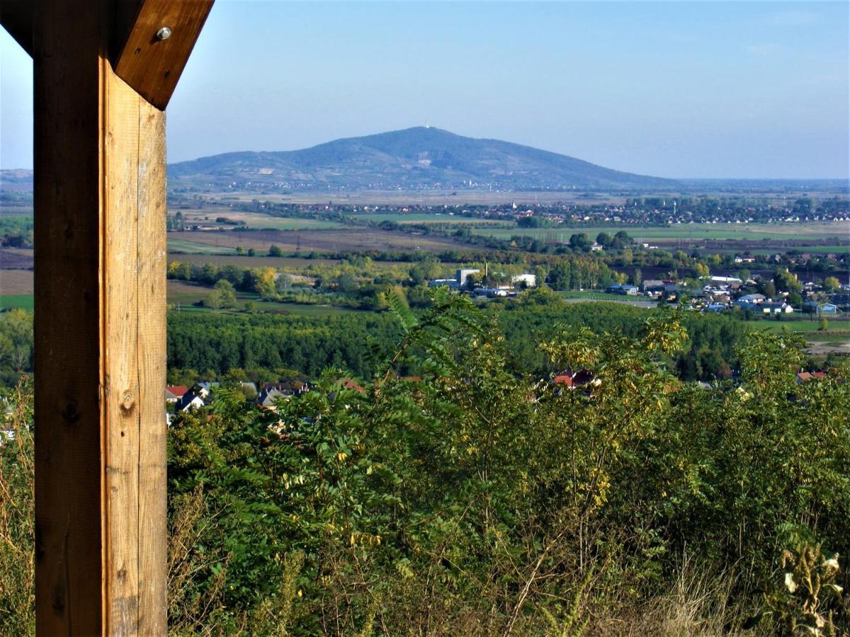 Tokaj Hill Panorama Guesthouse เซเรนช์ ภายนอก รูปภาพ
