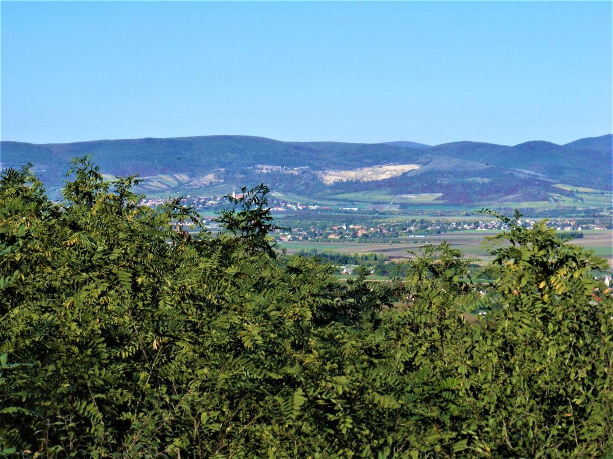 Tokaj Hill Panorama Guesthouse เซเรนช์ ภายนอก รูปภาพ