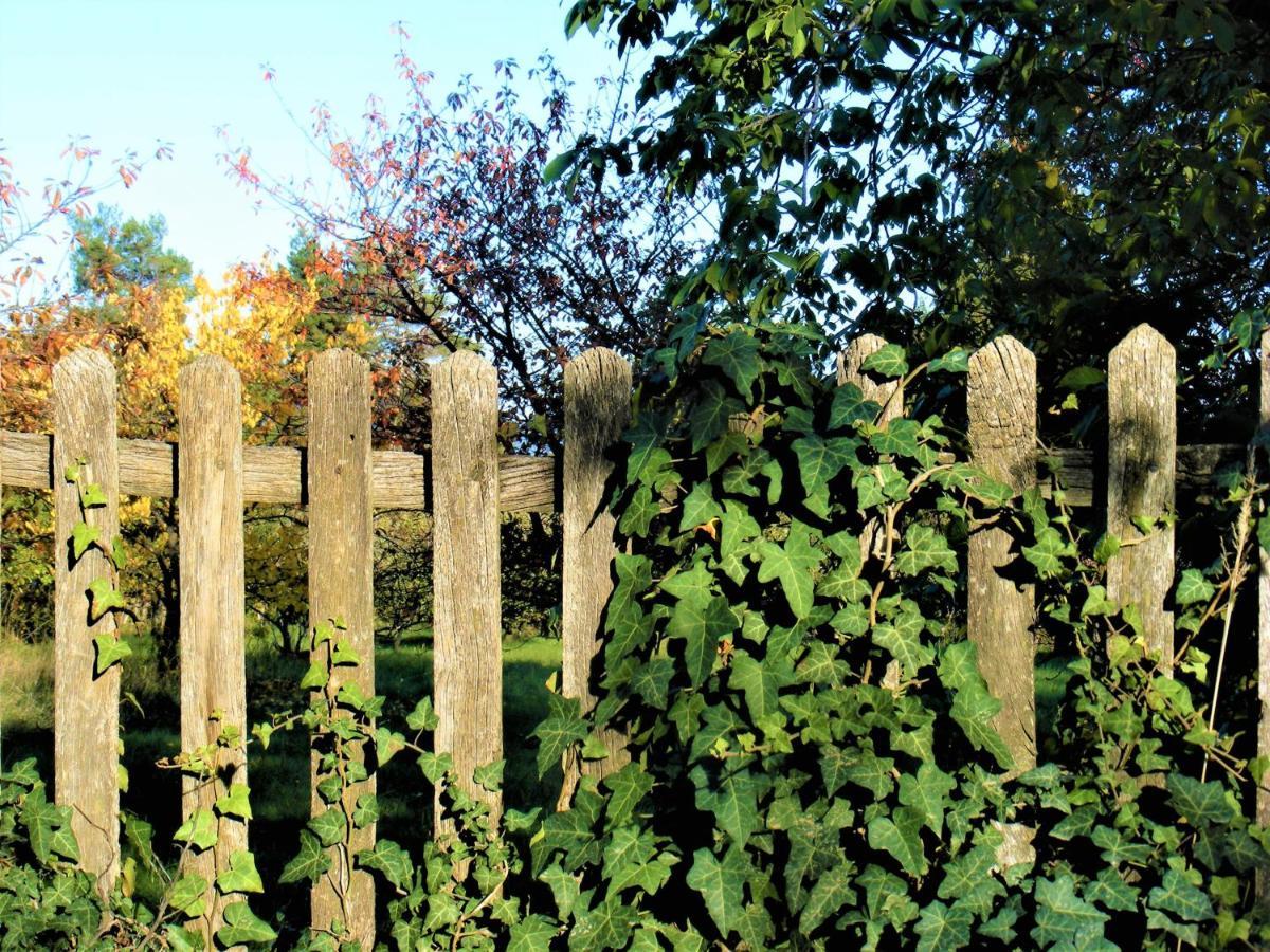Tokaj Hill Panorama Guesthouse เซเรนช์ ภายนอก รูปภาพ