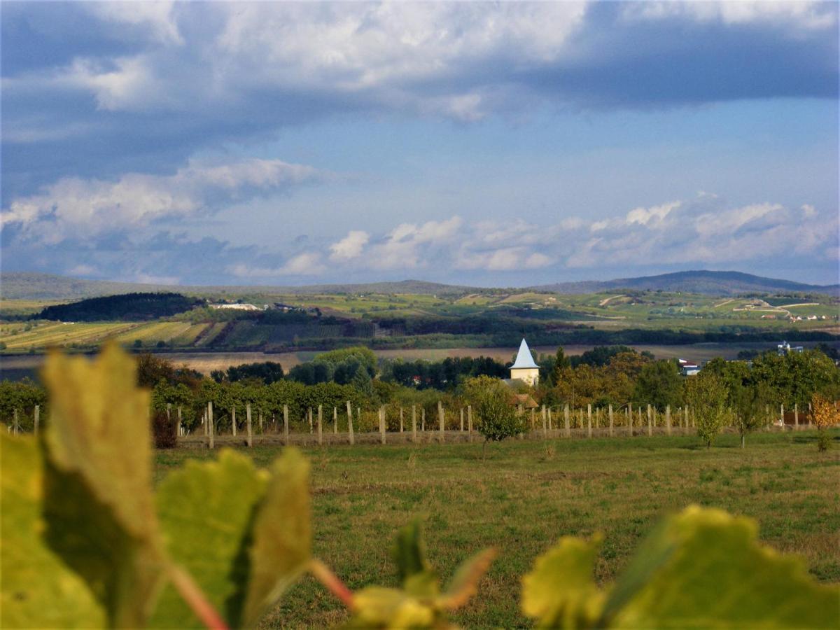 Tokaj Hill Panorama Guesthouse เซเรนช์ ภายนอก รูปภาพ