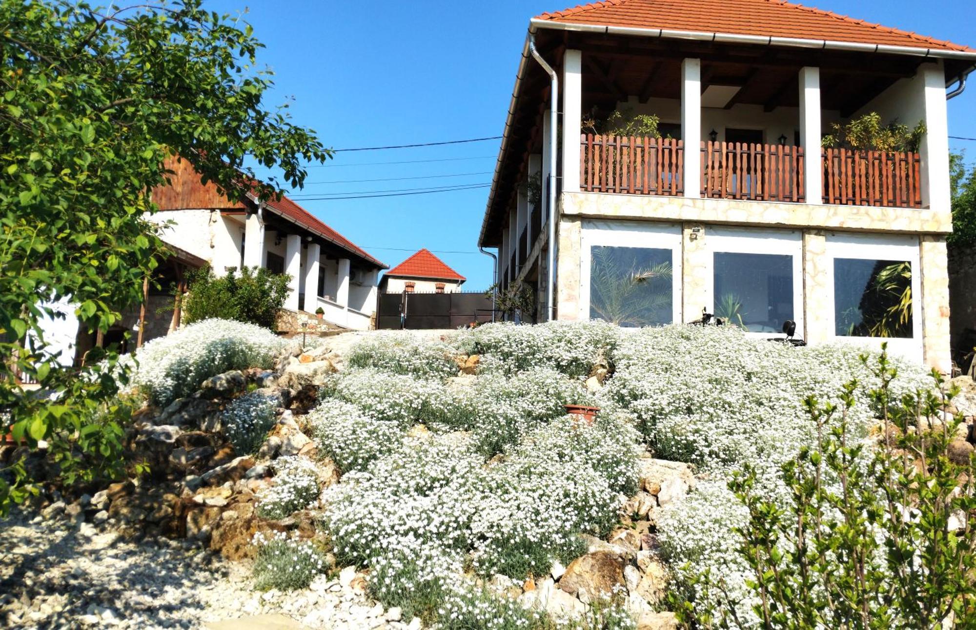 Tokaj Hill Panorama Guesthouse เซเรนช์ ภายนอก รูปภาพ